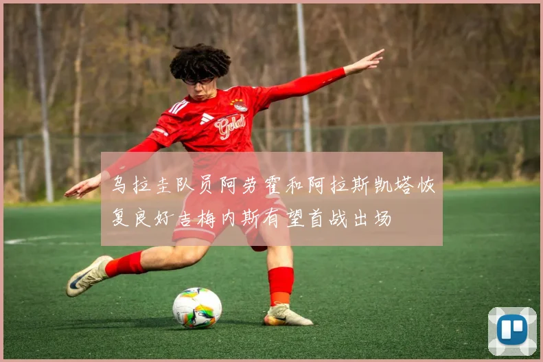 乌拉圭队员阿劳霍和阿拉斯凯塔恢复良好吉梅内斯有望首战出场