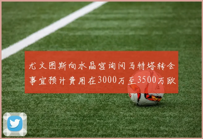 尤文图斯向水晶宫询问马特塔转会事宜预计费用在3000万至3500万欧元之间